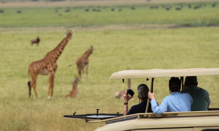 1 Day akagera national park adventure, 1 day tour to akagera, 1 day akagera adventure, 1 day tour in akagera, akagera safari for 1 day, one day tour to akagera, one-day trip to akagera national park, one-day safari in akagera park, one-day adventure in akagera, akagera one-day adventure, akagera tour for 1 day, akagera game drive 1 day