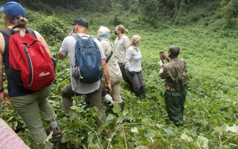 Rwanda gorilla safaris and wildlife tours from Nigeria, Rwanda Primates and Wildlife Safari from Nigeria, rwanda primates and wildlife safari from Nigeria, rwanda primates and wildlife safari from Nigeria, Rwanda Primates Safari from Nigeria, rwanda primates safari from Nigeria,, rwanda primates, rwanda primate crossword, rwanda safari packages, rwanda safari tour, Rwanda Wildlife Safari from Nigeria, rwanda wildlife safari from Nigeria, rwanda wildlife safari from Nigeria map, rwanda wildlife safari from Nigeria to africa, rwanda wildlife safari from Nigeria to tanzania, rwanda wildlife safari from Nigeria to tanzania africa, Rwanda gorilla safari from Nigeria, rwanda gorilla safari from Nigeria, rwanda gorilla trekking reviews, rwanda gorilla trekking permit, Rwanda gorilla trekking from Nigeria, rwanda gorilla trekking from Nigeria, rwanda gorilla trekking tour, Rwanda gorilla tours from Nigeria, rwanda gorilla tours from Nigeria, rwanda gorilla tours from Nigeria 2024, rwanda gorilla tours, rwanda gorilla tourism, rwanda gorilla trips, rwanda gorilla tours luxury, gorilla tours africa from Nigeria, gorilla tours africa from Nigeria, gorilla tours africa from Nigeria 2024, gorilla tours africa